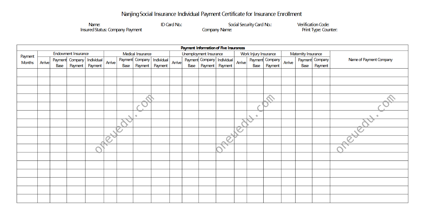 Chinese Social Security